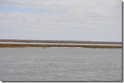 Faro 009