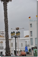 Faro 022