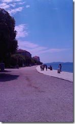 IMAG0271