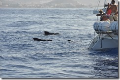 Los Christianos_033-