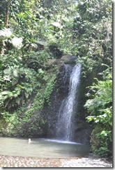 Sunday dinner_2014-05-20_165-DSC_0063