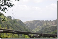 Sunday dinner_2014-05-20_200-DSC_0098