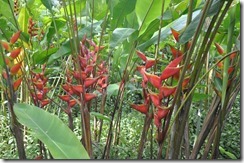 Sunday dinner_2014-05-20_205-DSC_0103