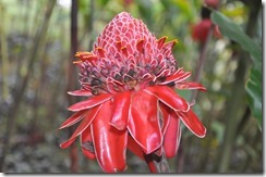 Sunday dinner_2014-05-20_217-DSC_0116